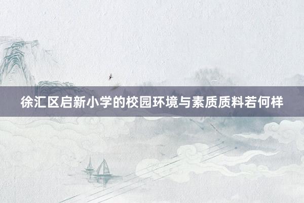 徐汇区启新小学的校园环境与素质质料若何样