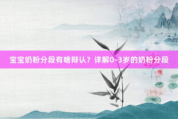 宝宝奶粉分段有啥辩认？详解0-3岁的奶粉分段